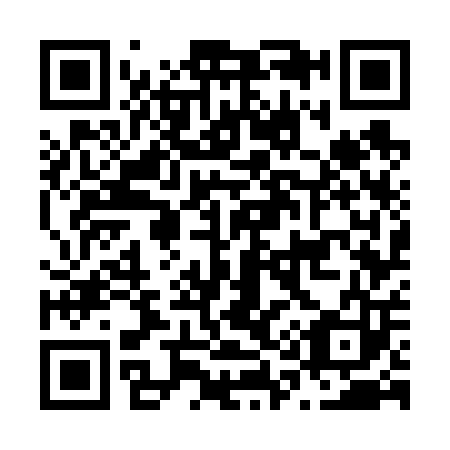 QR code for N17603