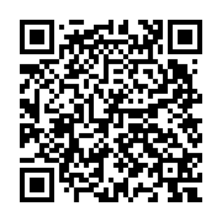 QR code for N17620