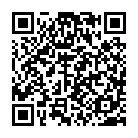 QR code for N18295