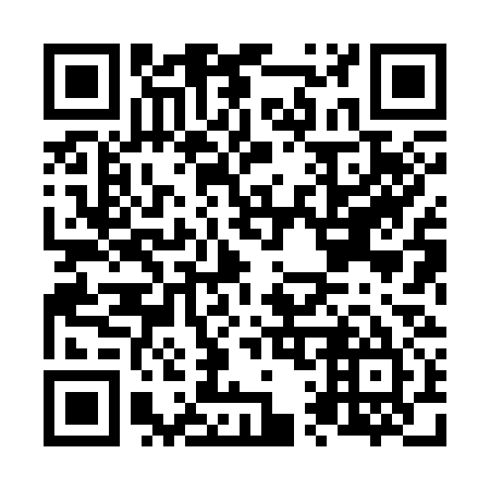 QR code for N18335
