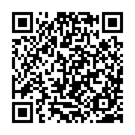 QR code for N18384