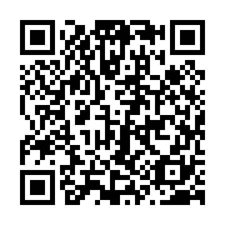QR code for N19070