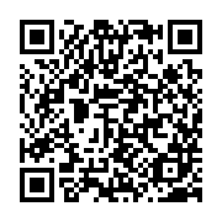 QR code for N19382