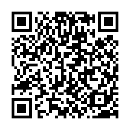 QR code for N19411