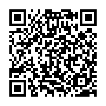 QR code for N19595