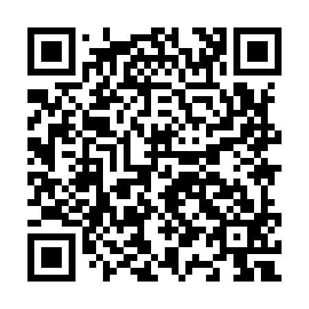 QR code for N19993