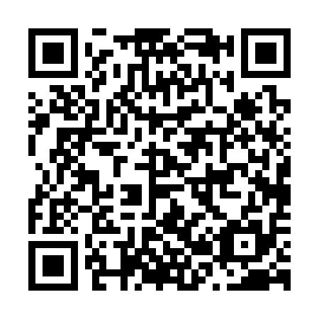 QR code for N20315