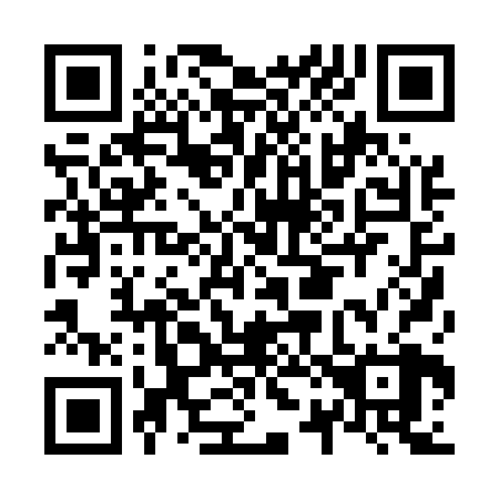 QR code for N20528