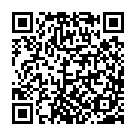 QR code for N20741