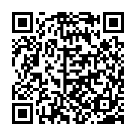 QR code for N21333