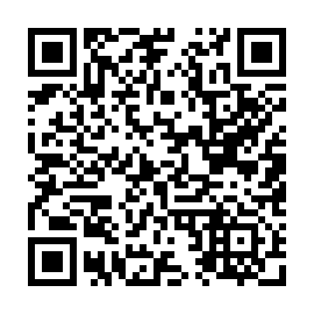 QR code for N25313