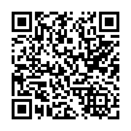 QR code for N28653