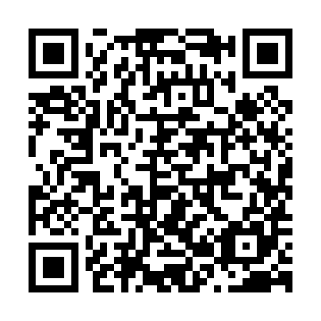 QR code for N29085