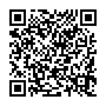 QR code for N29095