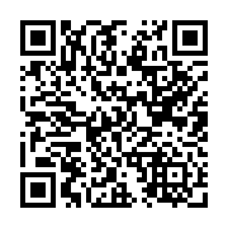 QR code for N29141