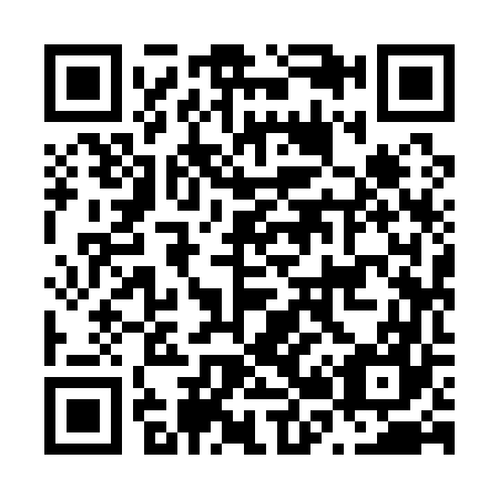 QR code for N29167