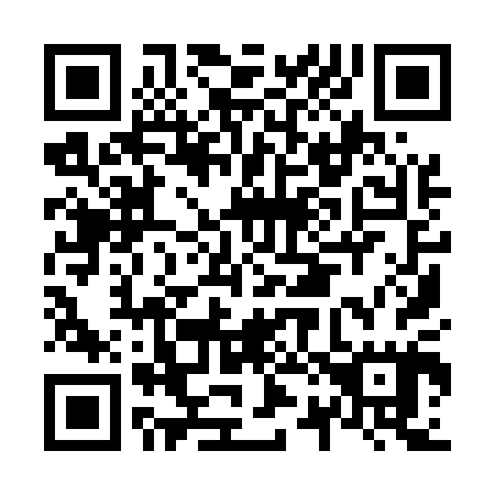 QR code for N29505