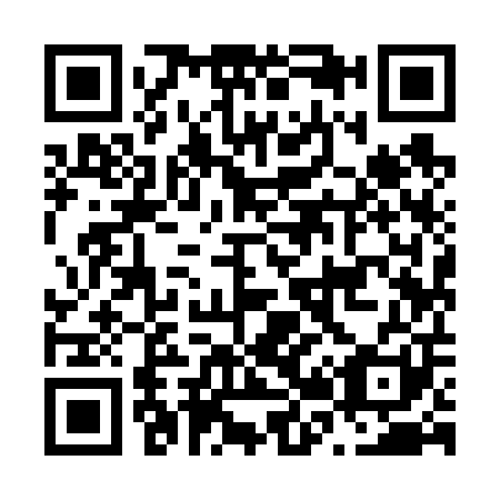 QR code for N29601