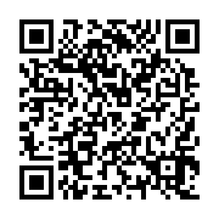 QR code for N30317