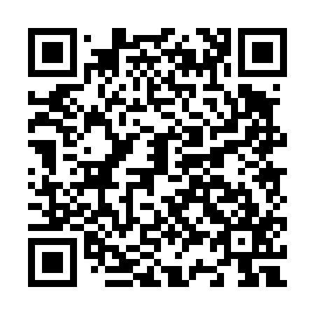 QR code for N30417