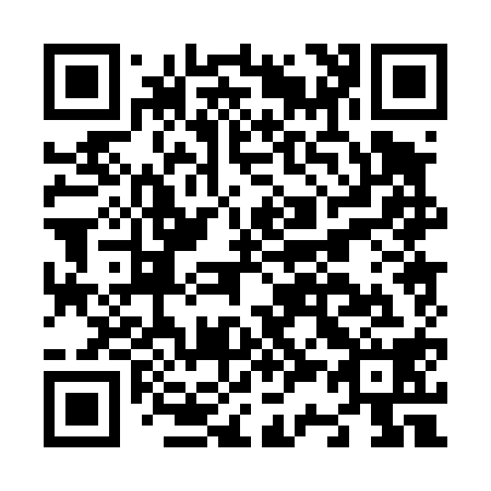 QR code for N30418