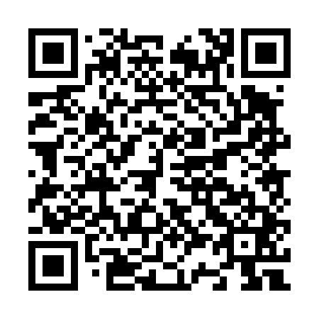 QR code for N30441