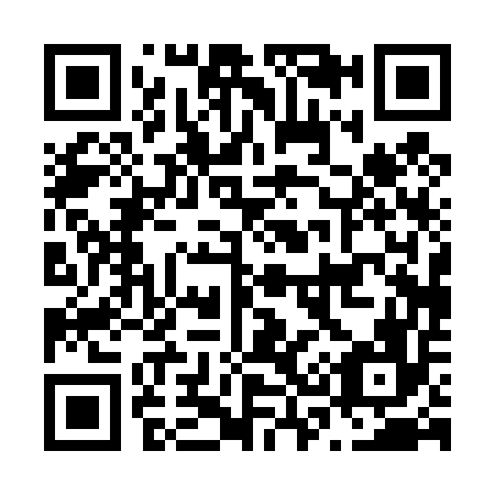 QR code for N30456