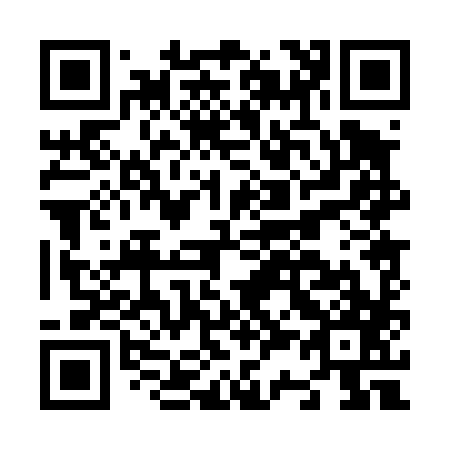 QR code for N30487