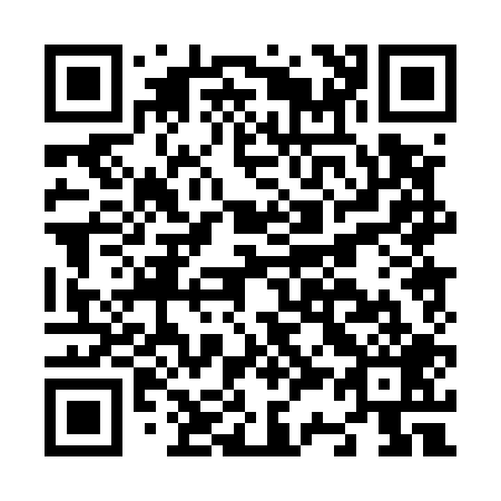 QR code for N30509