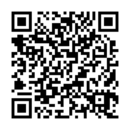 QR code for N31265