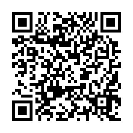 QR code for N31316