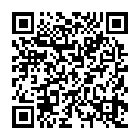 QR code for N31339