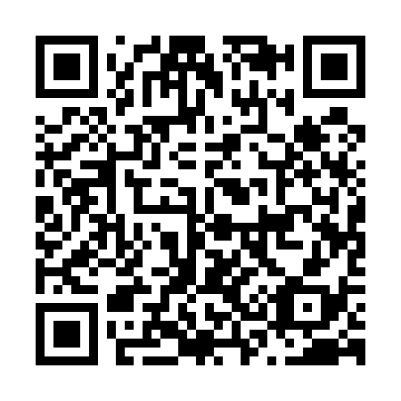 QR code for N31538