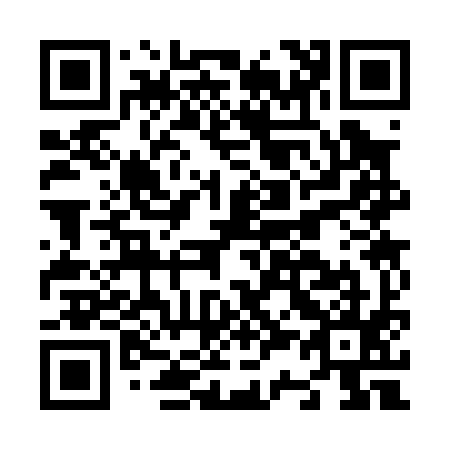 QR code for N33095