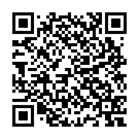 QR code for N33335