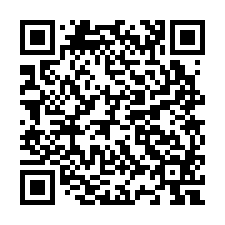 QR code for N33384