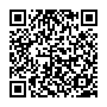 QR code for N33835