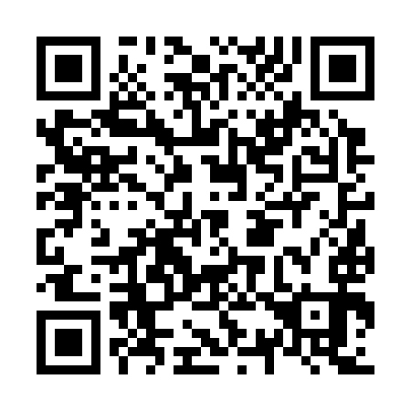 QR code for N36393
