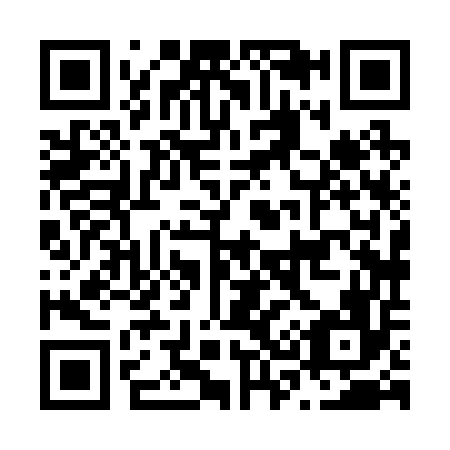 QR code for N38256