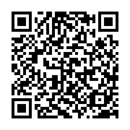 QR code for N38301