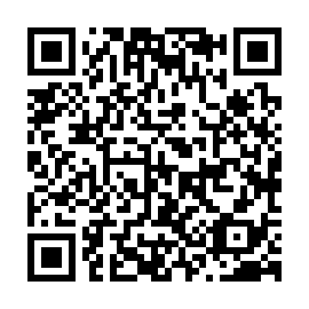 QR code for N38338