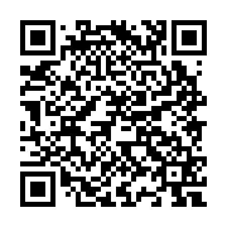 QR code for N38361