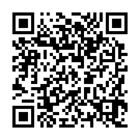 QR code for N38382