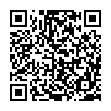 QR code for N38396