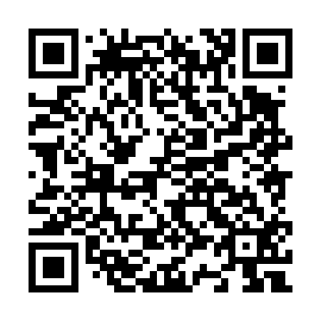 QR code for N38412