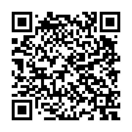 QR code for N38420