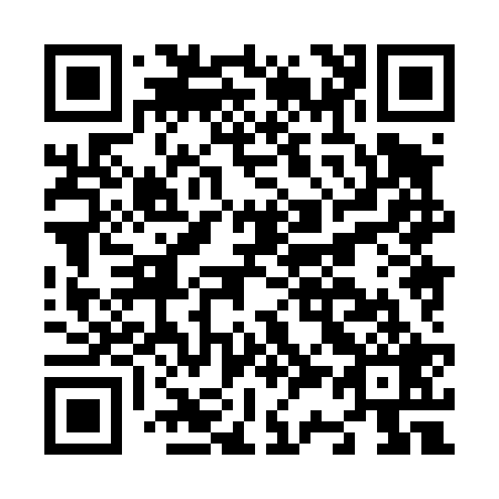 QR code for N38429