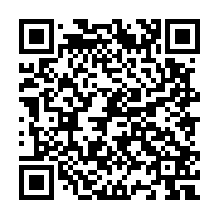 QR code for N38502
