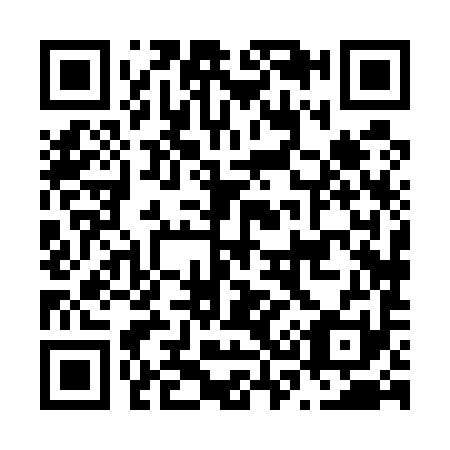 QR code for N38591