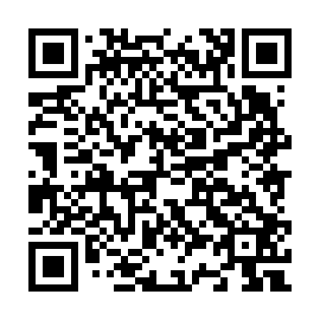 QR code for N38602